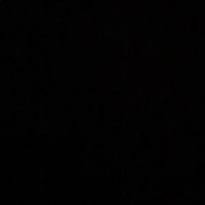 Meet your Posher, Gracie